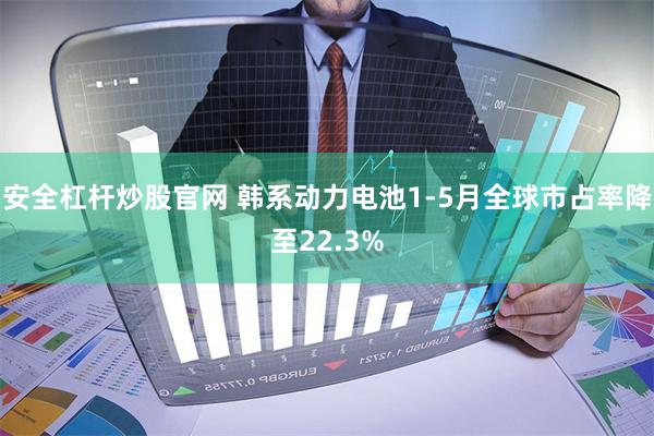 安全杠杆炒股官网 韩系动力电池1-5月全球市占率降至22.3%