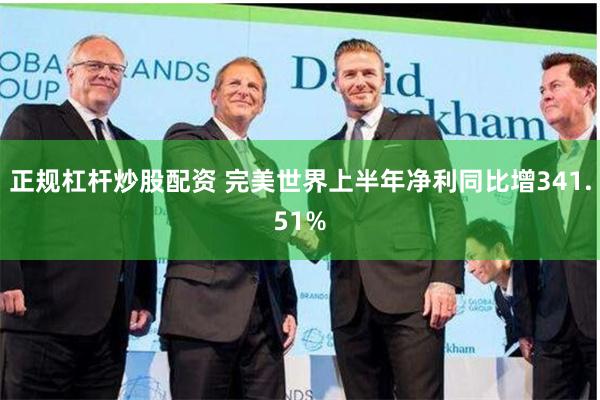正规杠杆炒股配资 完美世界上半年净利同比增341.51%