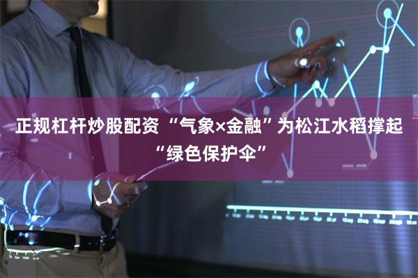 正规杠杆炒股配资 “气象×金融”为松江水稻撑起“绿色保护伞”