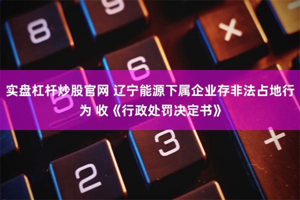 实盘杠杆炒股官网 辽宁能源下属企业存非法占地行为 收《行政处罚决定书》