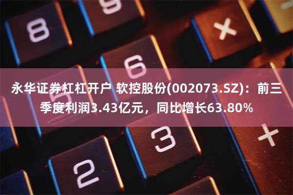 永华证券杠杠开户 软控股份(002073.SZ)：前三季度利润3.43亿元，同比增长63.80%