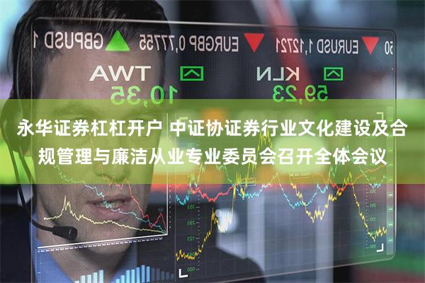 永华证券杠杠开户 中证协证券行业文化建设及合规管理与廉洁从业专业委员会召开全体会议