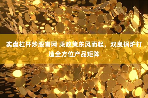 实盘杠杆炒股官网 乘政策东风而起，双良锅炉打造全方位产品矩阵