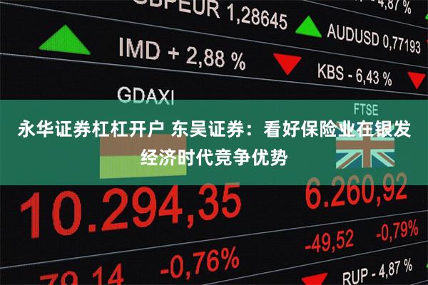 永华证券杠杠开户 东吴证券：看好保险业在银发经济时代竞争优势